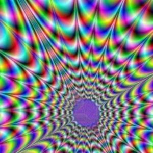 Meet your Posher, Shara